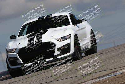 media/Mar-31-2024-Speed Ventures (Sun) [[a3b2bf813d]]/Purple/Session 2 (Grapevine)/